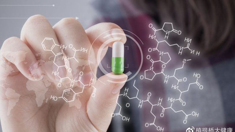 老年人蛋白粉與奶粉：成分差異與適用人群解析
